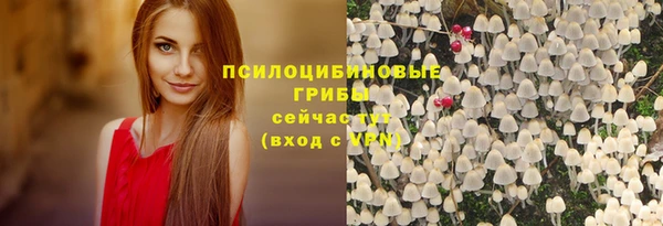 герыч Алексин